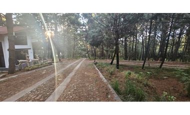 Bonito terreno en zona de bosque de mazamitla jalisco