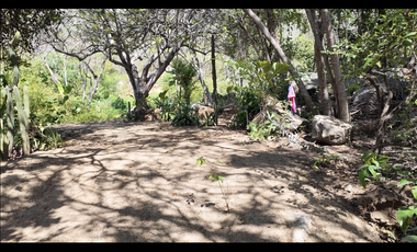 Lotes en venta con vista al mar en la vereda el Limon - Santa Marta