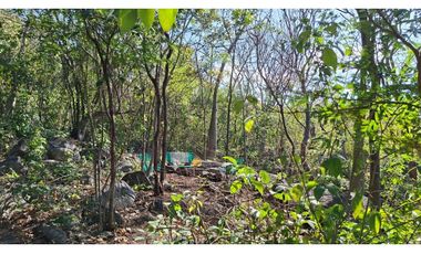 Lotes en venta con vista al mar en la vereda el Limon - Santa Marta