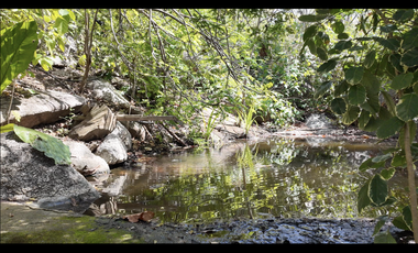 Lotes en venta con vista al mar en la vereda el Limon - Santa Marta