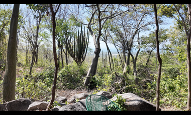 Lotes en venta con vista al mar en la vereda el Limon - Santa Marta