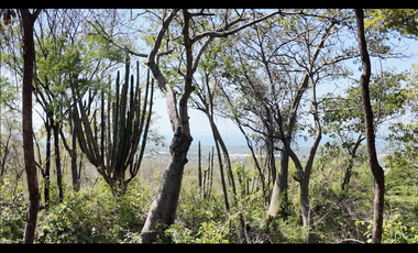Lotes en venta con vista al mar en la vereda el Limon - Santa Marta