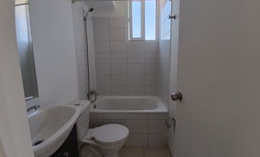 Inglaterra 1144 (1 Bod) [228-1]