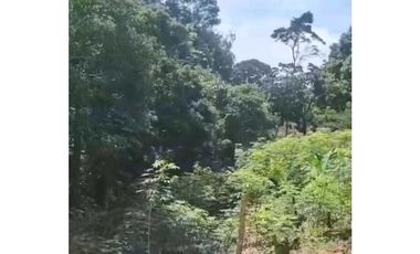 Vendo Lote sobre Carretera principal en Cerro Azul