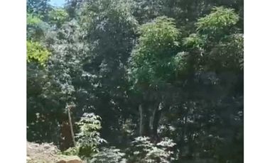 Vendo Lote sobre Carretera principal en Cerro Azul