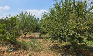 PARCELA 5.000 M2 CON CASA, LAS CRUCES, OLMUÉ