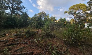 Bonito terreno en zona de bosque de mazamitla jalisco