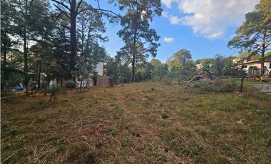 Bonito terreno en zona de bosque de mazamitla jalisco