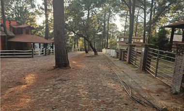 Bonito terreno en zona de bosque de mazamitla jalisco