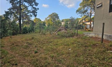 Bonito terreno en zona de bosque de mazamitla jalisco