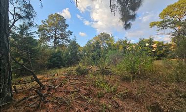 Bonito terreno en zona de bosque de mazamitla jalisco
