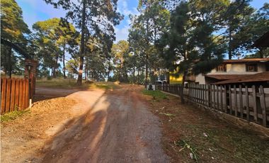Bonito terreno en zona de bosque de mazamitla jalisco