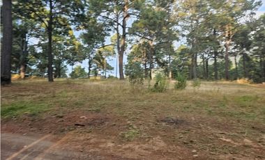 Bonito terreno en zona de bosque de mazamitla jalisco