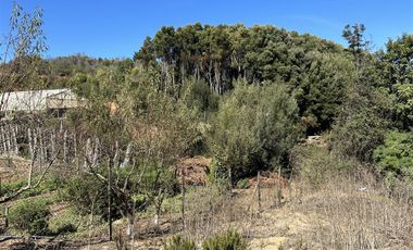 Sitio en Venta en Rodelillo