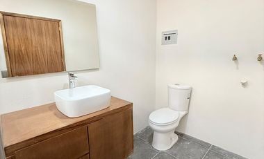 Estrena Súper loft ejecutivo en renta con terraza propia atrás de Plaza Ankara