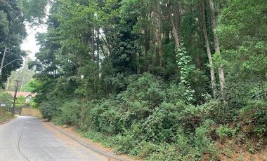 Sitio en Venta en Precioso sitio de 652 m en cerro La Virgen Concepción