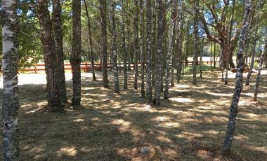 Parcela en Venta en sector La Laureta cerca de Cunco