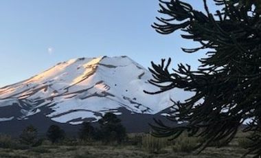 Casa en Venta en Extraordinaria casa esquina en Malalcahuello muy cerca de Centro de Ski Corralco