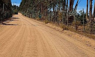 PARCELA EL PERAL A 25 MIN DE PLAYA. CARDENAL CARO, PAREDONES