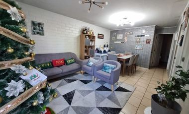 ALTOS DE LIRCAY Y LOS FLAMENCOS