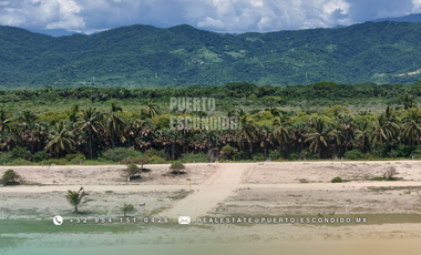 Lotes Exclusivos en Palmarito