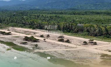 Lotes Exclusivos en Palmarito
