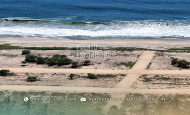 Lotes Exclusivos en Palmarito