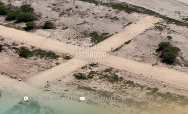 Lotes Exclusivos en Palmarito