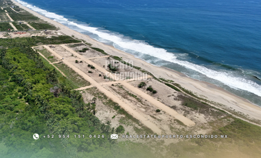 Lotes Exclusivos en Palmarito