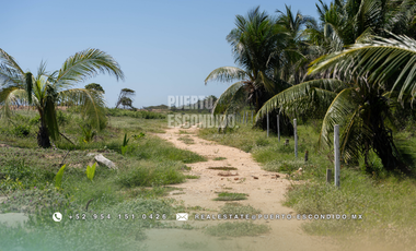 Lotes Exclusivos en Palmarito