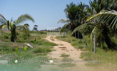 Lotes Exclusivos en Palmarito