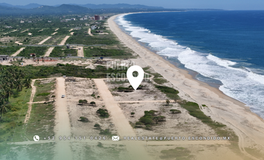 Lotes Exclusivos en Palmarito