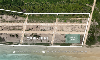 Lotes Exclusivos en Palmarito