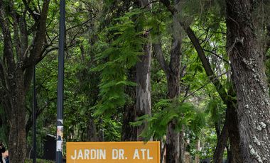 Departamento en renta en Providencia, Guadalajara, Soho Park