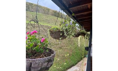 Vendo extraordinaria casa finca en San Vicente Ferrer