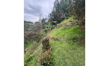 Vendo extraordinaria casa finca en San Vicente Ferrer