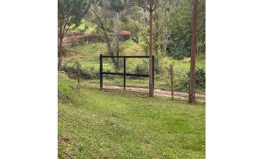 Vendo extraordinaria casa finca en San Vicente Ferrer