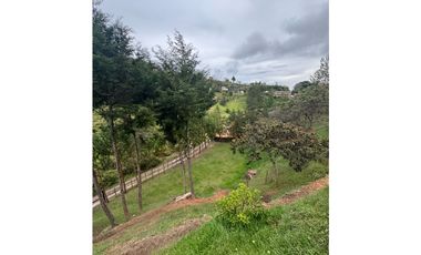 Vendo extraordinaria casa finca en San Vicente Ferrer