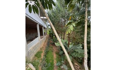 Vendo extraordinaria casa finca en San Vicente Ferrer