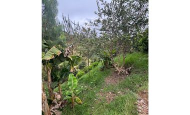 Vendo extraordinaria casa finca en San Vicente Ferrer