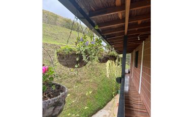 Vendo extraordinaria casa finca en San Vicente Ferrer