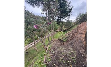 Vendo extraordinaria casa finca en San Vicente Ferrer