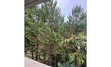 Vendo extraordinaria casa finca en San Vicente Ferrer