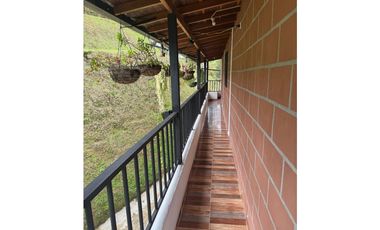 Vendo extraordinaria casa finca en San Vicente Ferrer