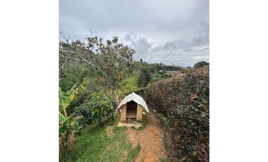 Vendo extraordinaria casa finca en San Vicente Ferrer