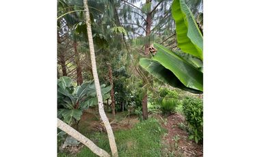 Vendo extraordinaria casa finca en San Vicente Ferrer