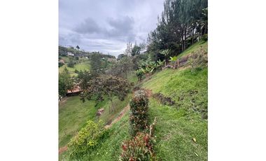 Vendo extraordinaria casa finca en San Vicente Ferrer