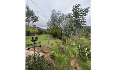 Vendo extraordinaria casa finca en San Vicente Ferrer