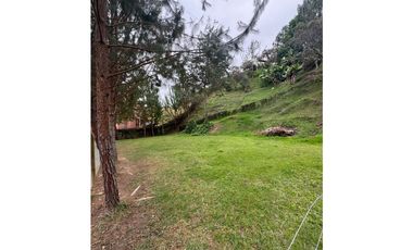 Vendo extraordinaria casa finca en San Vicente Ferrer