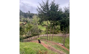 Vendo extraordinaria casa finca en San Vicente Ferrer